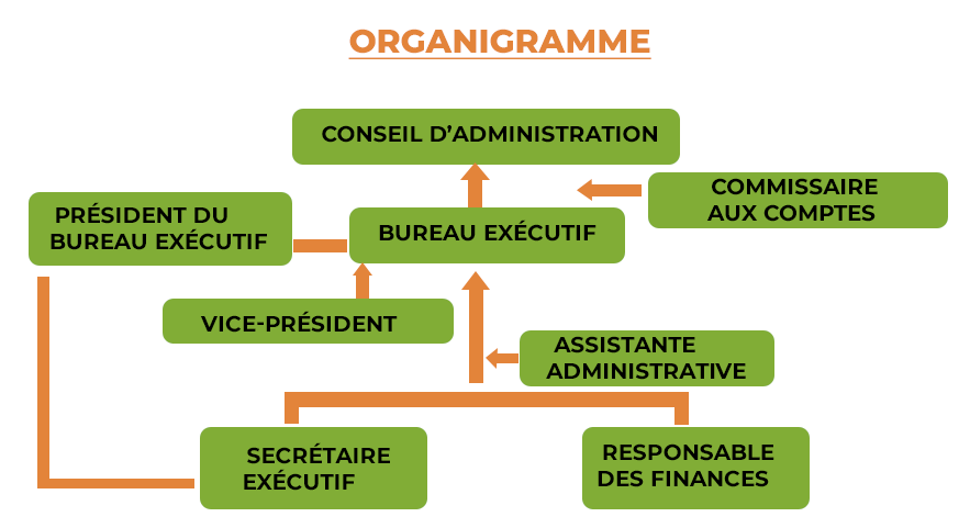 ORGANIGRAMME SEEDLIFE CI